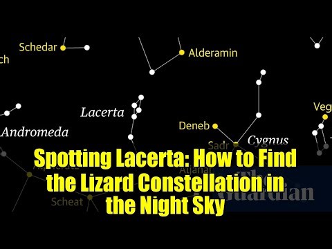 Spotting Lacerta: How to Find the Lizard Constellation in the Night Sky