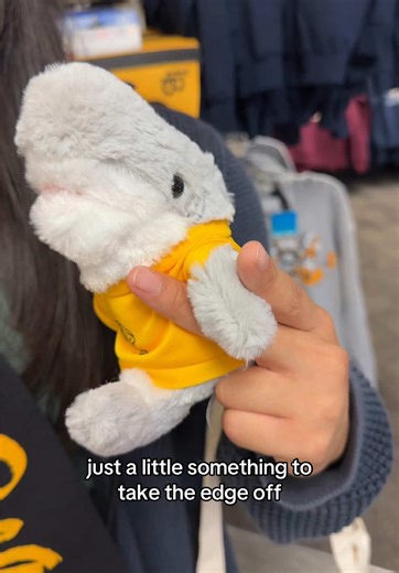 Exploring CSULB Beach Shops: A Student's Haven