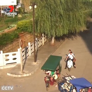 790K views · 417 reactions | A runaway ostrich has been caught on camera running through the streets of a busy town in south-west China. The surprise commuter drew some confused looks as it dodged its way through cars and motorcycles. Read more: https://7news.link/IPikjO #7NEWS | 7NEWS Australia | Facebook