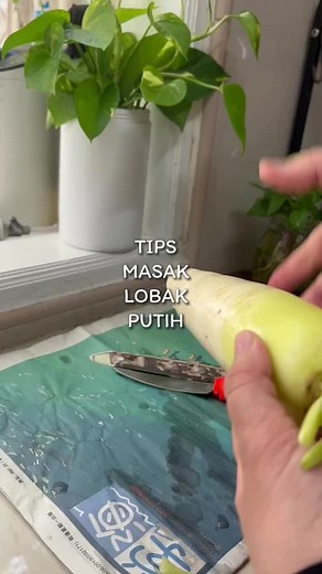 Tips Memasak Lobak Putih yang Enak dan Mudah