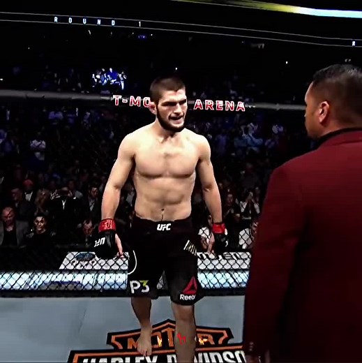 Eagle vs. Fighter: Habib Nurmagomedov vs. Conor McGregor