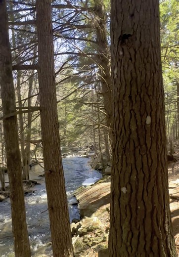 Explore the Big Falls Trail in New Gloucester, Maine