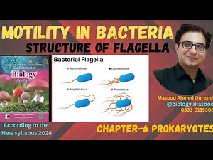 Types of Motility in Bacteria : Flagella & its Structure | Federal Board Pakistan Biology | 2024