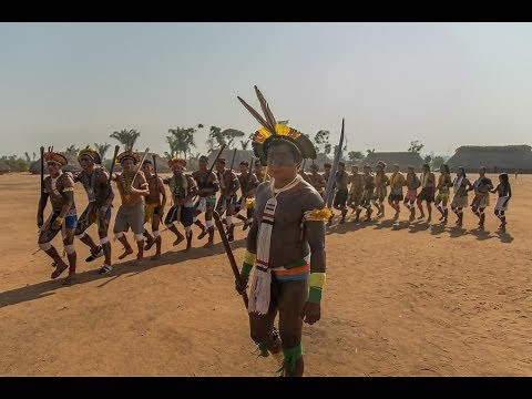 Dance, celebration and resistance | Wawi20years