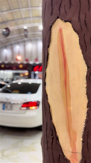 Premio FE-X 2016 Review