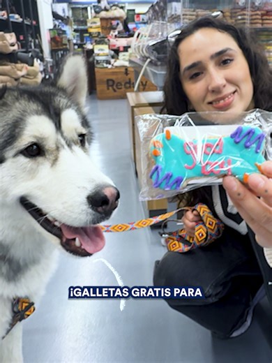 ¡Celebra a tu Husky en Petco Tijuana este 14 de marzo!