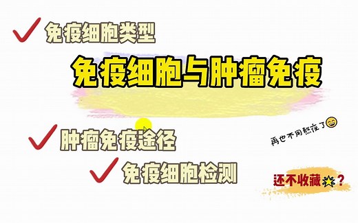 免疫细胞与肿瘤免疫|免疫细胞|T细胞|B细胞|肿瘤免疫|NK细胞|ADCC