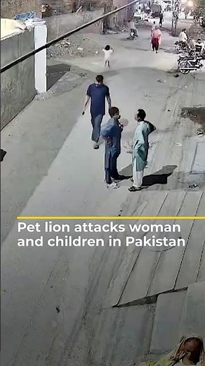 Pet lion attacks woman and children in Pakistan | AJ #shorts