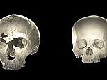 Video: Study examines human and Neanderthal skulls to understand shape | Daily Mail Online
