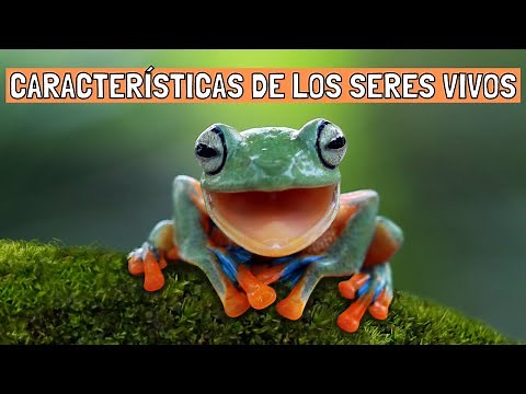 The CHARACTERISTICS OF LIVING BEINGS and differences with inert beings (With examples)🐋