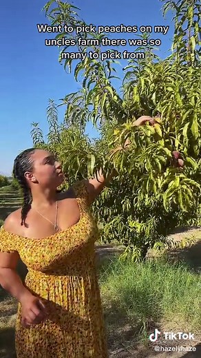 Babygirl Hazel (@hazelyhaze)’s videos with original sound - rainee asmr 🌙 ✨