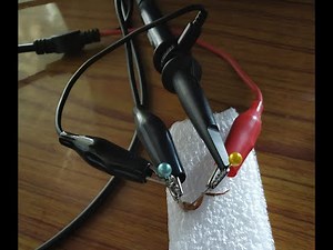 Cockroach leg stimulation and action potential recording