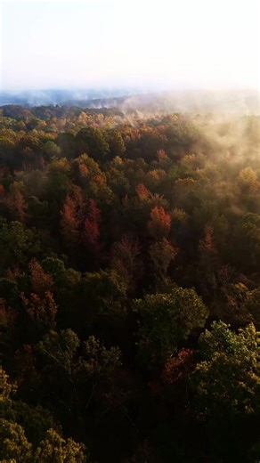 Take a break and enjoy a bit of autumn in Edgefield 🍁🍂 | Explore Edgefield