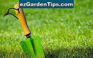 Comment planter une pelouse de stolons 🌱 Conseils Jardiniers - Fr.ezGardenTips.com