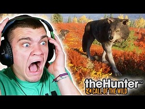 the wolves tried to kill me again... Hunter Call of the Wild Ep.71