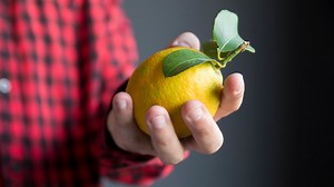 El limón celebra su día mundial y la Argentina se destaca entre los principales productores