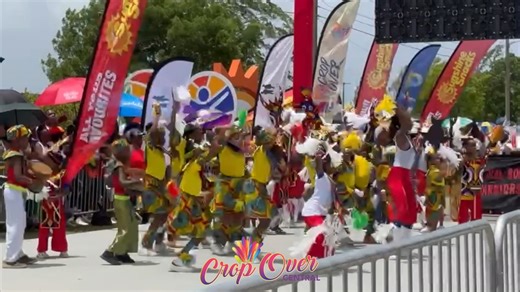6.9K views · 59 reactions | The National Library Service on show at Junior Kadooment today. (Video by Sandy Pitt) | The Nation Barbados | Facebook