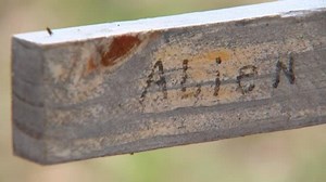 Aurora's Ned the Alien: A 'damn good story' 120 years and counting