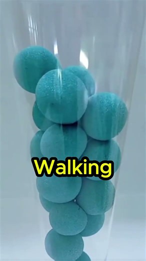 Someone Dropped a Wallet with $1000… What Would You Do? 😳