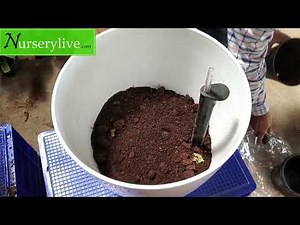 Self-Watering Planter - How to setup your huge self-watering planter for large plants? | nurserylive