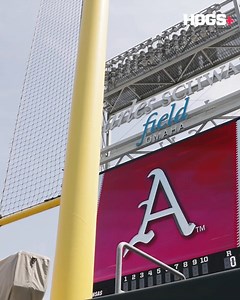 585 reactions · 12 shares | Every college baseball player’s dream 朗 | Hogs Plus | Facebook