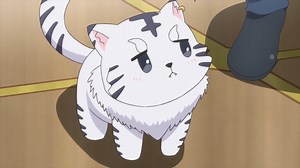 112K views · 430 shares | Touya just casually proposed a harem...