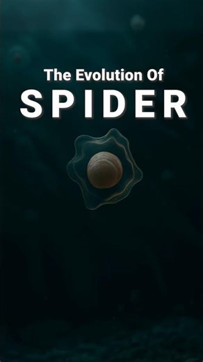 Evolution Of Spider 🕷️ (Wait for the final stage...)