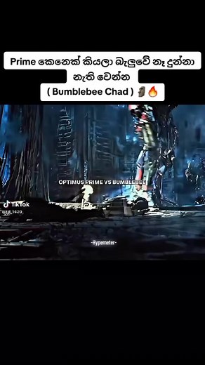 12K views · 210 reactions | Bumblebee  | The Trending Topic | Facebook