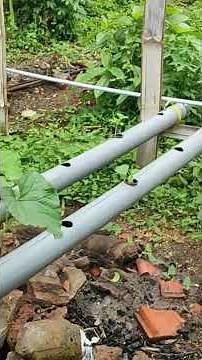 Belajar Hidroponik Paling Mudah! Cocok Buat Pemula 🌱