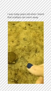 1.2M views · 10K reactions | FOLLOW → @snackbreakmeme ← No problem!...