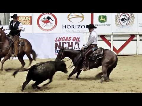 NCHA - The Sport of Cutting Horses