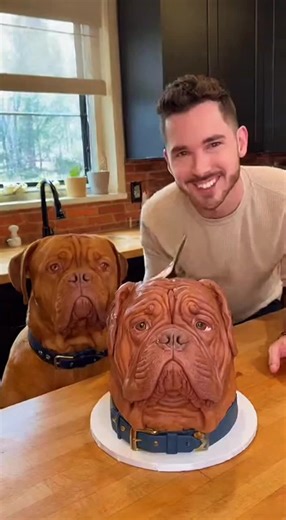 Dog cake cutting prank reaction| animal cake prank #dog #dogsoftiktok #cakeprank #funnyvideos #funnyanimals