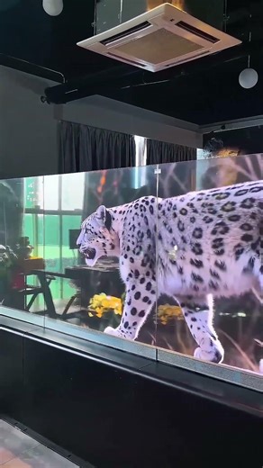 It's glass during the day, and a display screen at night. #Stage LED screen #Advertising display