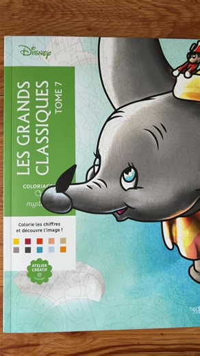 My most recent addition to my collection. A beautiful christmas gift. I will probably change some colours while coloring it because of how dark some of the illustrations are. But i’m super excited to be able to color in it. #colo #coloringbook #coloriagesmysteres #coloriagemysteredisney