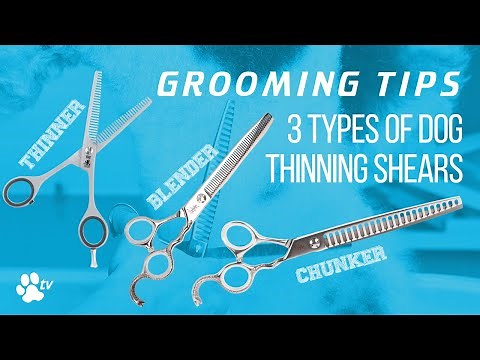 3 types of thinning scissors for dogs | Grooming Tips - TRANSGROOM