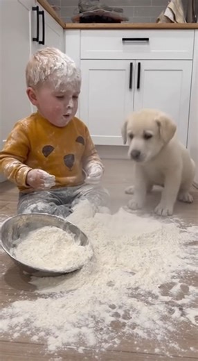 Cute Baby & Puppy 🍼🐶 Funny Moments That Will Melt Your Heart ❤️ | Fun Animal Clips A heart-melting combo of cuteness and laughter! 😍🐾 This adorable baby and playful puppy share the funniest moments together — from tiny giggles to puppy cuddles 🍼🐶💖 Their bond is pure joy and guaranteed to make your day brighter 🌞 Watch and smile only on Fun Animal Clips — where every clip brings happiness! 🎬🐾 #funanimalclips #babyandpuppy #cutebaby #funnyanimals #puppyfunny #babyfunny #AdorableMoments #