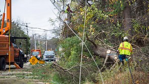 Vermont estimates $4.5 million in wind storm damage