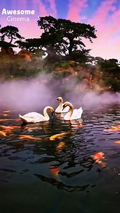 112K views · 4.4K reactions |  Colorful fishes in aquarium at Japan | New Cinema 2019 | Facebook