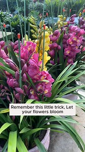 90K views · 533 reactions | #farmer #agriculture #gardeningtips #vagetable | Garden Tips | Facebook