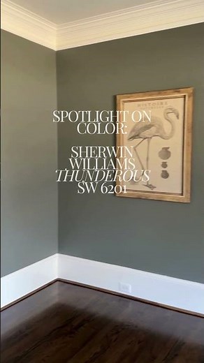COLOR SPOTLIGHT: Sherwin Williams Thunderous (SW 6201)
