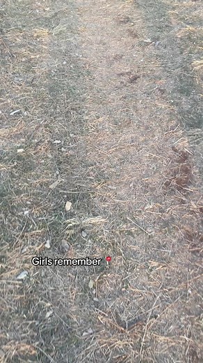 Subscribe to my YouTube plz❤️#fyp #foryou #foryoupage #fypシ #fypシ゚viral #foryoupageofficiall #limpopotiktoker #🇿🇦 #PhilipsOneBlade #SAMA28