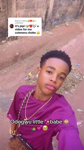 Adorable Puppy Videos That Will Melt Your Heart