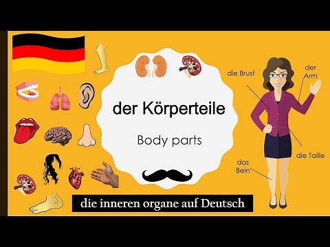 Der Körperteile | German Vocabulary A1-A2 | deutsche Vokabeln | Body parts