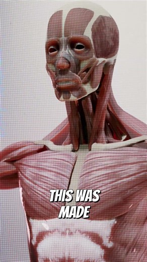 Anatomy Lesson You’ve Never Seen ? #facts #science