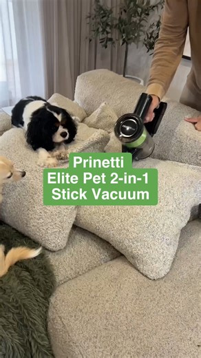 Harris Scarfe | We love @brodieholland's go-to for a spotless home 🔎 Our pet friendly Prinetti Elite Pet 2-in-1 Stick Vacuum makes life easier 🐶 Check out... | Instagram