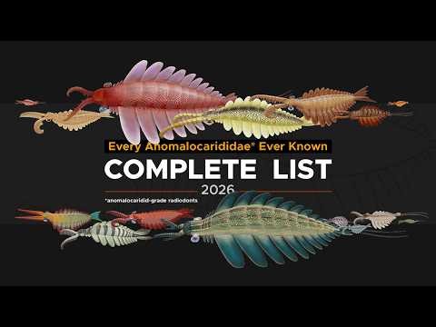 Every Anomalocaridid-grade Radiodont, explained.
