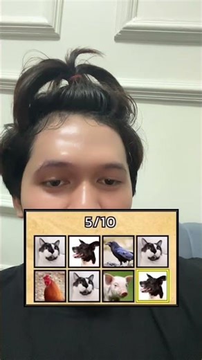 tenak nama hewan #youtube #shortvideo