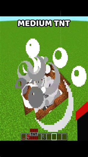 Minecraft Small Vs Medium Vs Large TnT