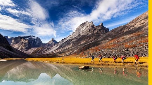 How to stay safe around wild animals