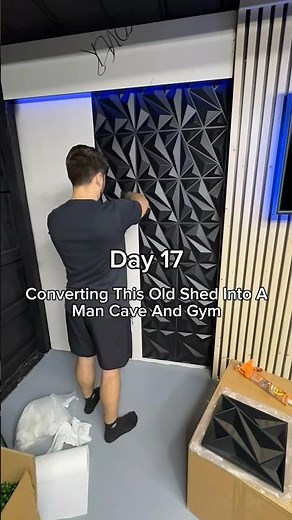Day 17 of converting this old shed into a man cave and gym
